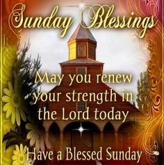 14602958087141706423432