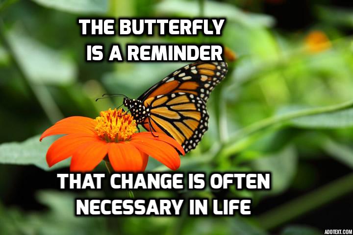 addtext_com_MjIzMDM4NjQyMTg